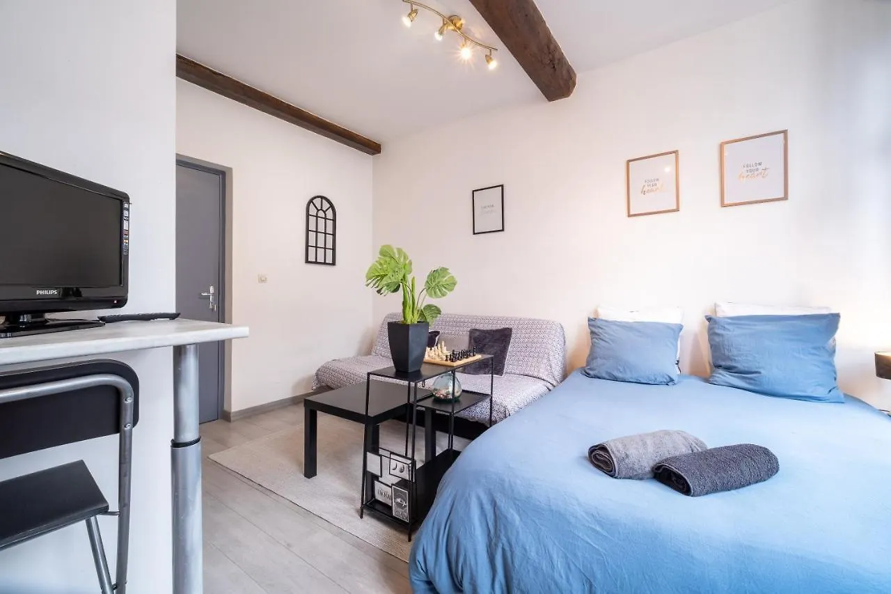 Apartment Tiptop Studio Lille France